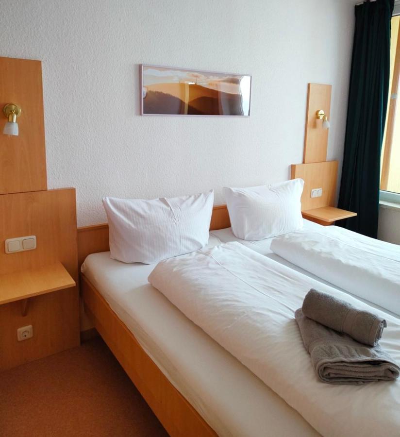 Apartment Brockenblick Mit Tollen Blick Und Schwimmbad Braunlage Εξωτερικό φωτογραφία